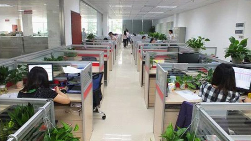 自考本科毕业论文：挑战与应对策略